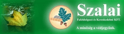 Partner logó